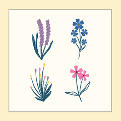 flower vector set with frame background