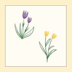 flower vector set with frame background