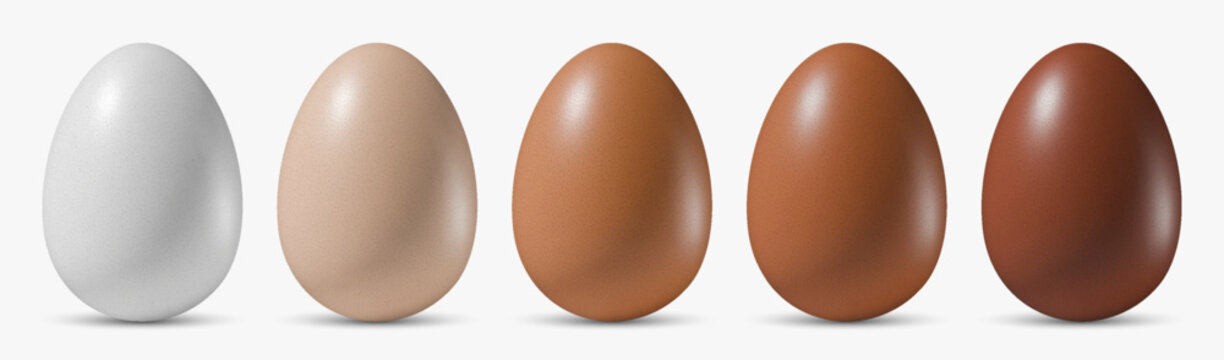 Vector of five realistic chicken eggs in varying shades, showcasing smooth textures. Ideal for Easter designs, mockups, or culinary themes illustration.