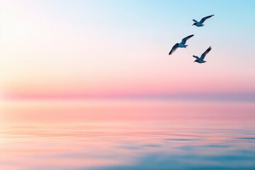Fototapeta premium Birds flying over water at sunset nature background pastel sky