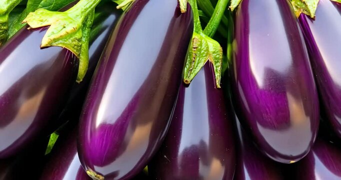 Vibrant eggplants displayed fresh in a farmers market setting with natural light reflection