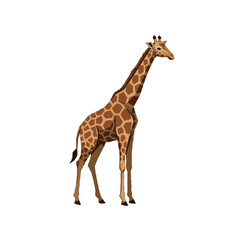 Naklejka premium Elegant Giraffe Standing Proudly