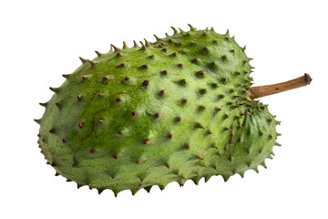 soursop fruit with transparent background