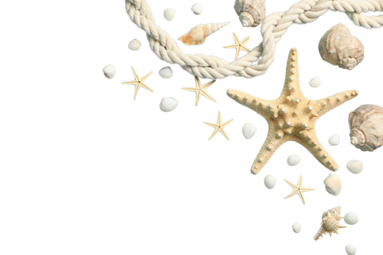 Shells and a starfish with rope evoke a beach vibe, isolated on white, PNG