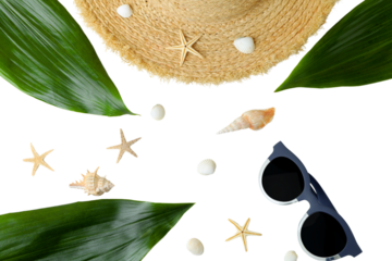 Arrange summer vacation items including a straw hat and seashells, isolated on white, PNG