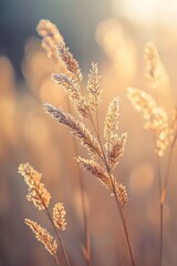 Macro photography of tender grass