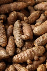 Many fresh turmeric roots as background, above view