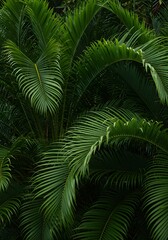 Dark tropical leaves background,jungle leaf banner for cover or wallpaper design. ai generated, generated ai 