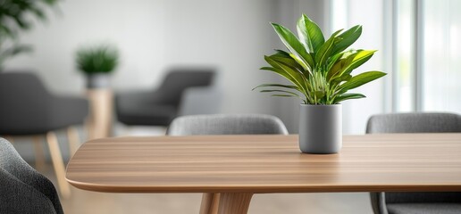 Interior design plant in gray pot on wooden table top minimalist home decor