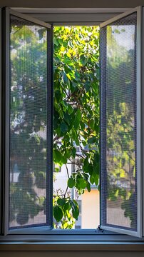 Open Window with Screen Overlooking Verdant Leaves and Outdoor Sunlight Glimpses