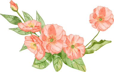 Watercolor Poppy Arrangement, beautiful floral clipart suited for wedding invitations, greeting cards, branding, social media, and DIY projects.  