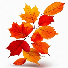 Fototapeta premium Beautiful bright colorful autumn leaves falling in the air isolated on white background.