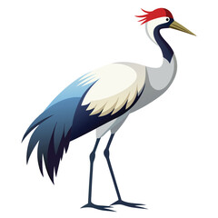 Obraz premium Crane bird isolated on white background