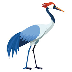 Crane bird isolated on white background