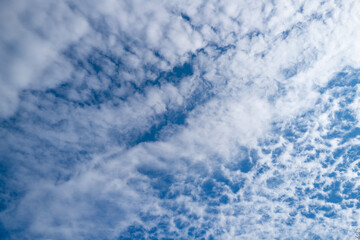 Fototapeta premium Sunny cloudy skies. Cumulus clouds in sky. Cloud wallpaper. Sky background. Cloudy sky with sunlight. White clouds wallpaper. Blue sky and white clouds background. Idyllic cloud.
