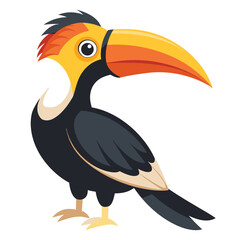 Hornbill isolated on white background