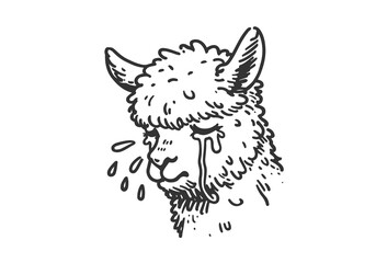 Alpaca hand drawn sketch illustration vector
