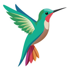 Hummingbird isolated on white background