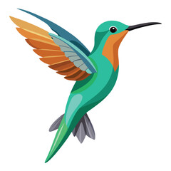 Hummingbird isolated on white background