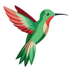 Hummingbird isolated on white background