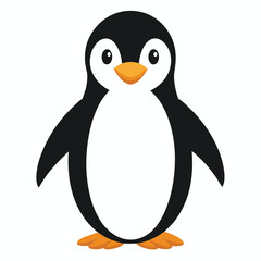 Penguin isolated on white background
