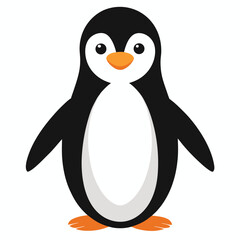 Penguin isolated on white background
