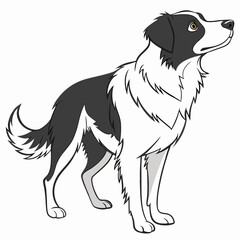 Dog vector white background