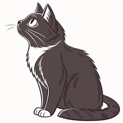 Cat vector design