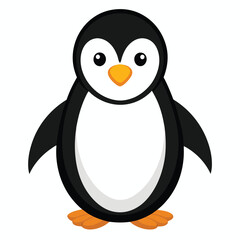 Penguin isolated on white background
