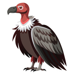 Vulture isolated on white background