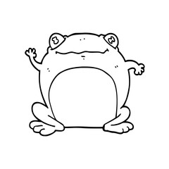 frog on a white background