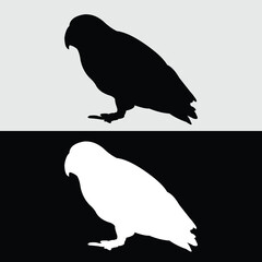 lovebird logo silhouette design with black and white colors