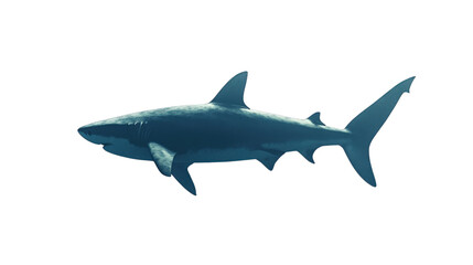 Obraz premium A simple yet bold shark silhouette, showcasing its prominent features like the dorsal fin,Transparent background, PNG file.