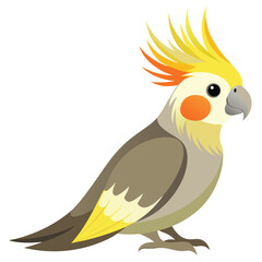 Goldfinch isolated on white background