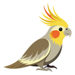 Goldfinch isolated on white background