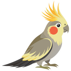 Goldfinch isolated on white background