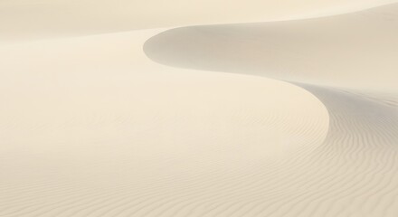 Sand Dune Landscape with Ripples and Curves in Desert