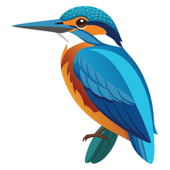 Kingfisher isolated on white background