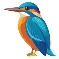 Kingfisher isolated on white background