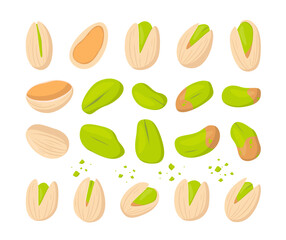 Pistachio Nuts Set. Cartoon Flat Food Vector Illustration.