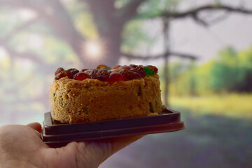 Closeup of Fruit cake in a dark brown plastic tray on a man's hand with blurred bokeh natural background at Thailand.