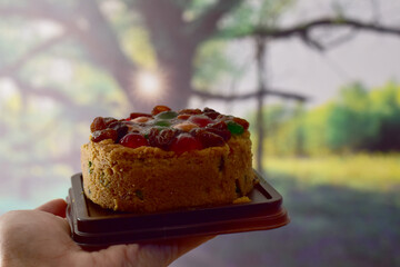 Closeup of Fruit cake in a dark brown plastic tray on a man's hand with blurred bokeh natural background at Thailand.