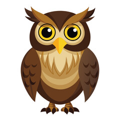 Owl bird isolated on white background