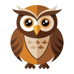 Owl bird isolated on white background