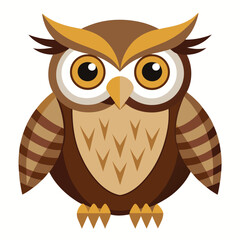 Owl bird isolated on white background