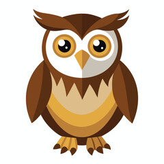 Owl bird isolated on white background
