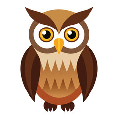 Owl bird isolated on white background