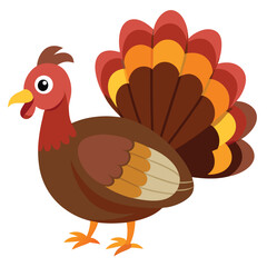  Turkey isolated on white background