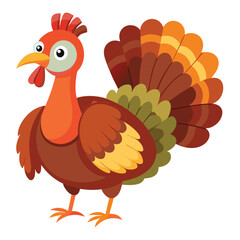  Turkey isolated on white background