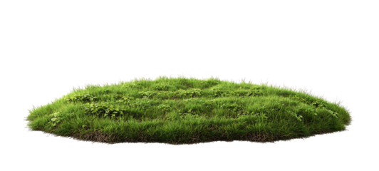Isolated green grass circle on transparent background. High quality PNG file
